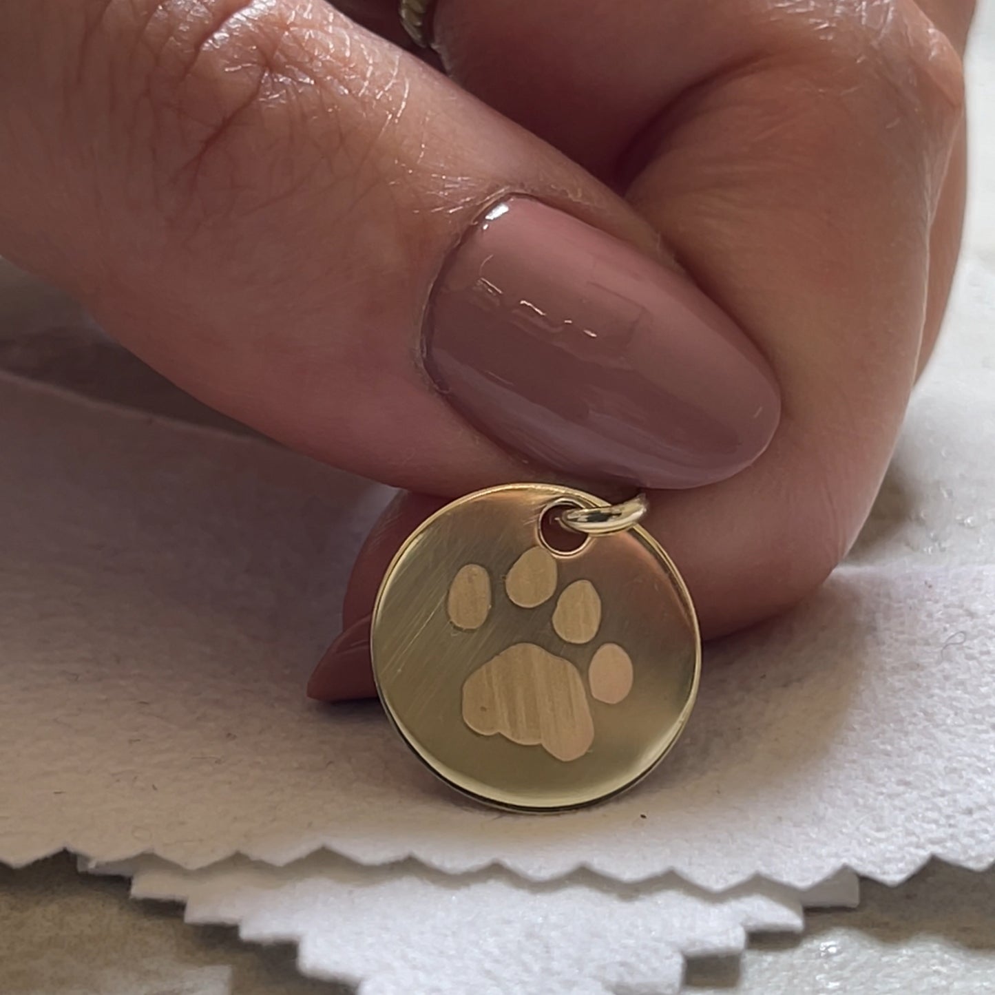 Paw Print Pendant | 10K Gold Circle