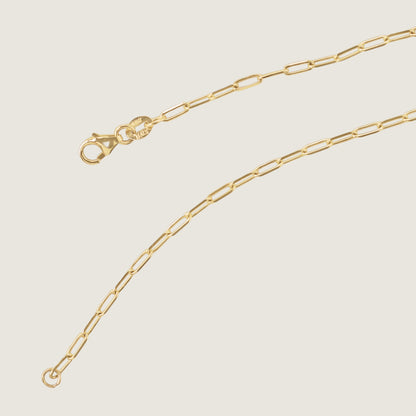 Paperclip Chain Necklace | 10K Gold